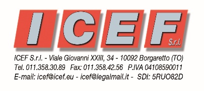 logotipo-icef